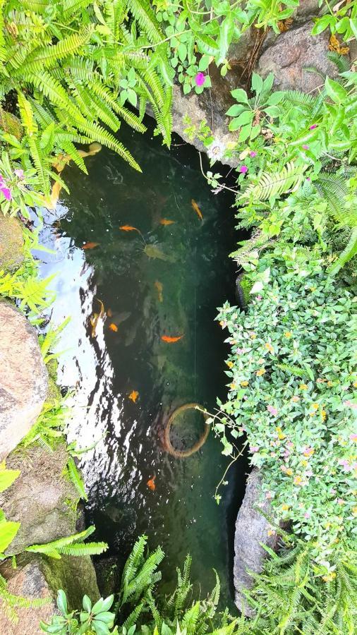 An Nhien Villa Bảo Lộc Ngoại thất bức ảnh